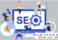 黑帽seo 高粱seo:企業(yè)做SEO官網(wǎng)優(yōu)化是為什么呢？