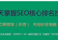 附子seo黑帽課程：探索網(wǎng)絡優(yōu)化的別樣路徑
