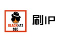 有哪些老品牌的黑帽seo:網(wǎng)頁搜索優(yōu)化：在線刷流量軟件與刷IP，有用嗎？