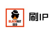 有哪些老品牌的黑帽seo:網頁搜索優化：在線刷流量軟件與刷IP，有用嗎？