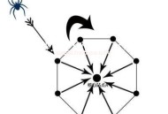 搭建蜘蛛池:服務器的選擇