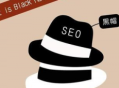 seo黑帽技術用什么開發（seo白帽和黑帽是什么意思）