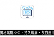 黑帽seo 軟件