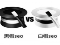 黑帽技術哪里學（seo黑帽技術有哪些）