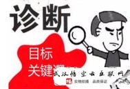 黑帽seo天才:【深圳SEO】下面來診斷剖析seo目的要害詞