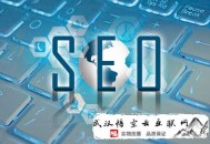 黑帽seo視頻 百度網盤:成都SEO帶你領會網站優化的權重問題