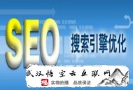 黑帽seo_快照劫持工具:武漢SEO公司談SEO網站優化注主要點