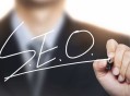 闡述SEO優化師是一個以結果論英雄的二級分化職業