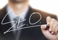 闡述SEO優(yōu)化師是一個(gè)以結(jié)果論英雄的二級(jí)分化職業(yè)