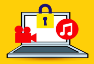 黑帽seo教程 google:熊掌號：若何運籌帷幄，決勝千里之外！