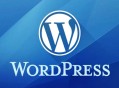 逆冬黑帽seo教程:為什么站長都用WordPress中文博客？
