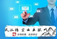 黑帽seo快速收錄神器:合肥SEO照料：SEO優(yōu)化頭腦很要害！