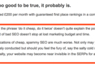 seo黑帽有哪些技術(shù)（seo黑帽怎么賺錢）