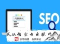 seo常見的黑帽手法:西昌SEO談查看網站的數據剖析