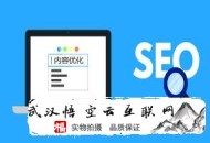seo常見(jiàn)的黑帽手法:西昌SEO談查看網(wǎng)站的數(shù)據(jù)剖析