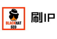 海山黑帽seo