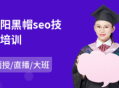 seo 沈陽 黑帽