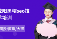 seo 沈陽 黑帽