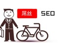 黑帽seo之家:SEO屌絲：若何逆襲，做網站推廣？