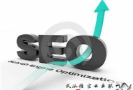 黑帽seo是如何導量的:汕尾SEO:注重建設站群推廣的幾點