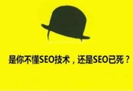 百度會越來越有發展，SEO行業會越來越興起，不信你看！