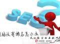 seo黑帽技術快速排名灰色行業:seo的常用基礎名詞注釋有哪些？