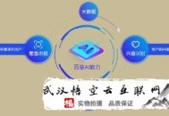 2017最新黑帽seo:洪湖SEO教你百度小程序排名的想法