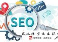 黑帽seo怎么學:韶關SEO讓SEO優化的希望加倍顯著