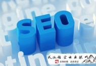 滿山紅黑帽seo優化:深圳SEO提醒你做SEO最應該注重的五大內容?。?！