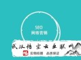 黑帽seo新站多久上排名:麗江SEO署理：要害詞優化需要考究哪些方式呢？