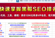 揭秘SEO黑帽工具實現快速排名的方法與技巧