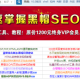 揭秘SEO黑帽工具實現快速排名的方法與技巧