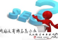 seo白帽灰帽黑帽:【武漢SEO】教你怎樣快速搜索引擎