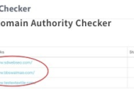 外貿(mào)seo常用黑帽手法揭秘：規(guī)避風(fēng)險(xiǎn)，把握白帽優(yōu)化正道
