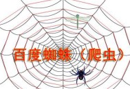 造成百度蜘蛛抓取異常的常見原因有哪些?