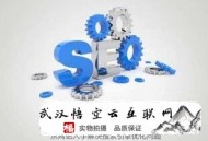 站無不勝 黑帽seo:【seo教程】seo若何快速入門