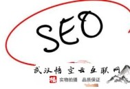 淘寶黑帽seo措施:株洲SEO:啥是服務(wù)器日志?