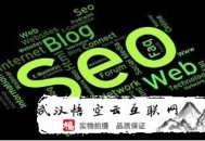 成都黑帽seo:SEO外包怎么運(yùn)營網(wǎng)站的呢？