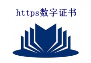 https數(shù)字證書是什么？價格是多少？_黑帽SEO優(yōu)化