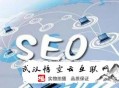 黑帽seo相關書籍:SEO加盟談網站的高質量文章