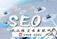 黑帽seo相關書籍:SEO加盟談網站的高質量文章