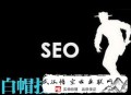 seo黑帽技術(shù)是什么:快來(lái)看看SEO白帽優(yōu)化手藝