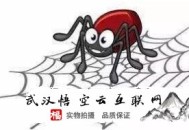 seo黑帽技術論壇:悟空云SEO談談蜘蛛池的相關知識