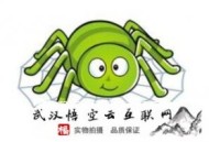 seo黑帽有哪些技術:SEO加盟談：網站內容SEO怎么把控呢？