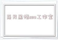 落月黑帽SEO：揭秘違規(guī)操作手法與對(duì)網(wǎng)絡(luò)生態(tài)的危害