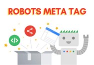 關于WordPress5.7的Robots API和max-image-preview指令介紹