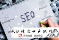 如何看待黑帽seo 知乎:武漢SEO公司談怎么做好站內SEO優化