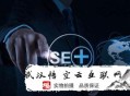 seo白帽 黑帽是什么意思:大連SEO照料人人所謂的SEO要害詞是什么