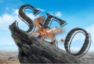 SEO服務常用11個Chrome擴展插件