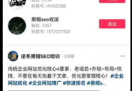 seo黑帽是什么意思（東莞seo黑帽培訓(xùn)）